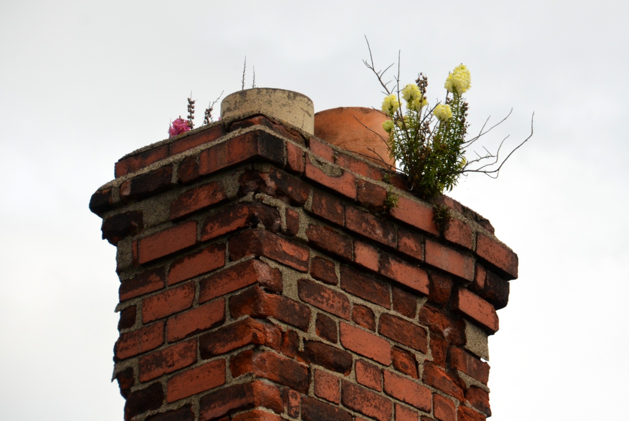 chimney sweep service